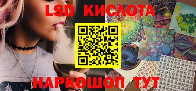 шишки Лесосибирск