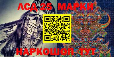 шишки Лесосибирск