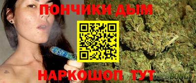 шишки Лесосибирск