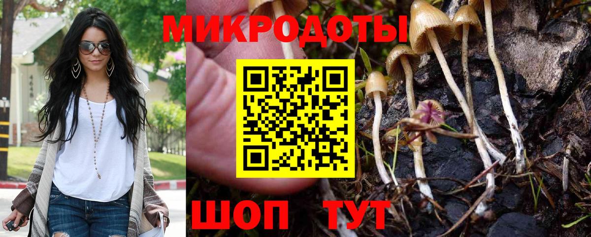 Галлюциногенные грибы мухоморы Электрогорск